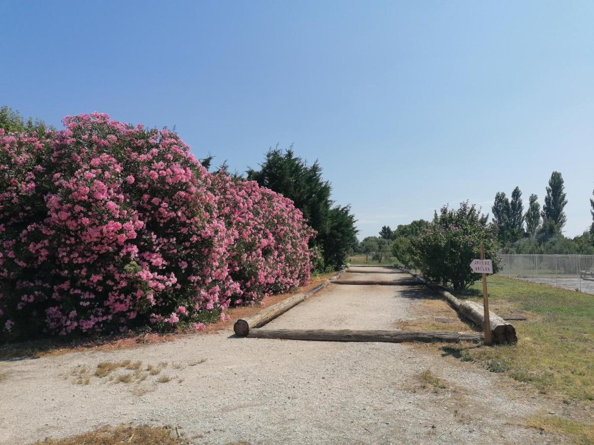 Les Gites Du Mas Canillac Châteaurenard المظهر الخارجي الصورة