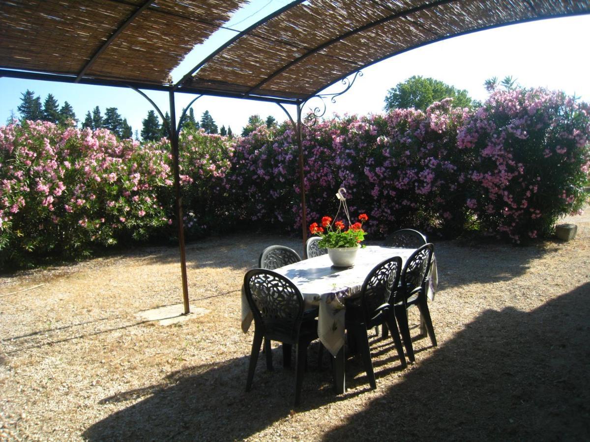 Les Gites Du Mas Canillac Châteaurenard المظهر الخارجي الصورة