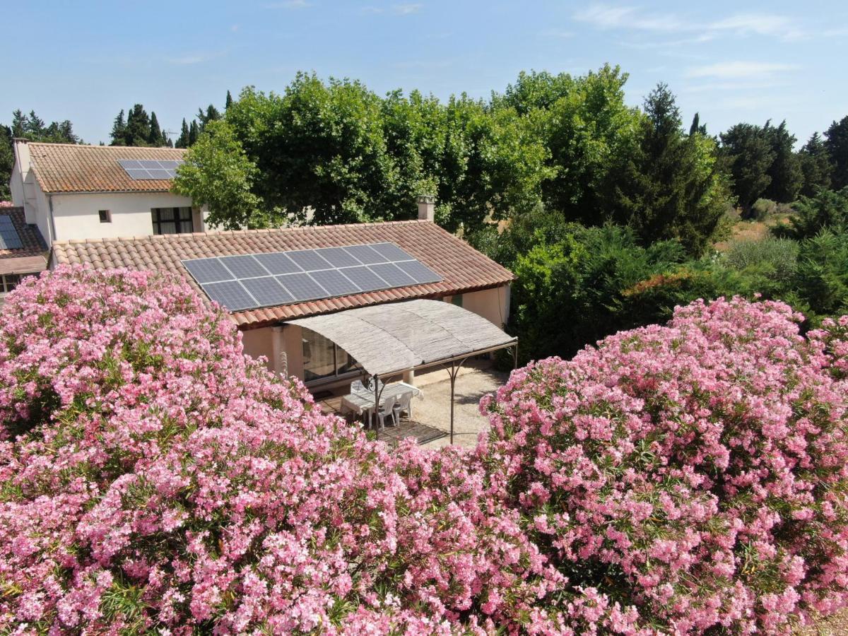 Les Gites Du Mas Canillac Châteaurenard المظهر الخارجي الصورة